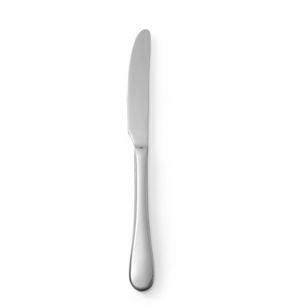 Helena 420 stainless steel table knife 225mm