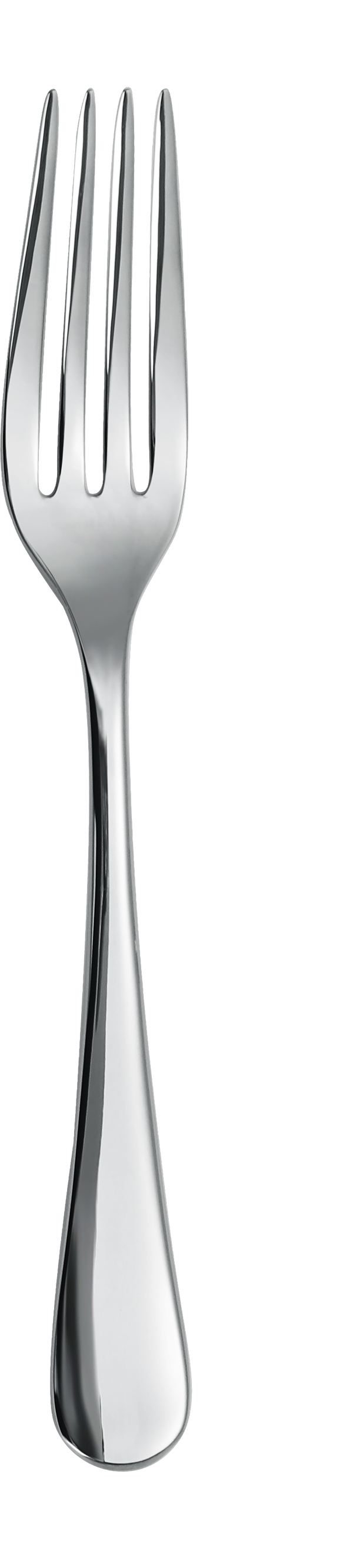 Dolphy Birmingham Stainless Steel Table Fork 201mm – 304 Grade (Pack of 12)